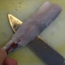 三枚おろし お刺身 トビウオ薄造り レシピ 作り方 By Startrek 楽天レシピ 三枚おろし お刺身 トビウオ薄造り レシピ 作り方 By Startrek 楽天レシピ